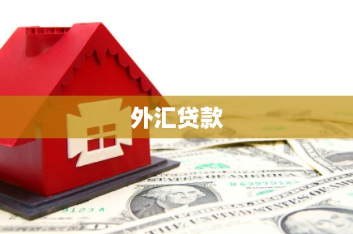 鹰手营子矿区外汇贷款
