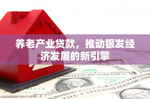 鹰手营子矿区养老产业贷款，推动银发经济发展的新引擎