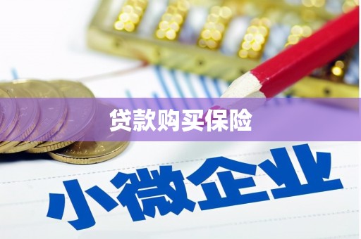 鹰手营子矿区贷款购买保险