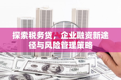 鹰手营子矿区探索税务贷，企业融资新途径与风险管理策略