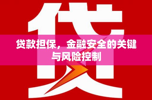 鹰手营子矿区贷款担保，金融安全的关键与风险控制