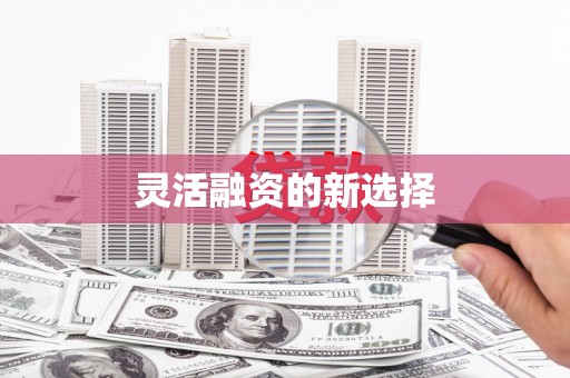鹰手营子矿区灵活融资的新选择